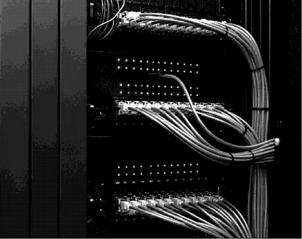 Black and white image showing organized network cables connected to a patch panel inside a server rack.