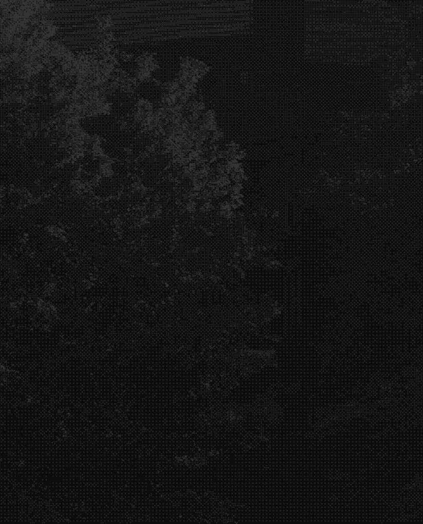 Dark forest with dense trees and thick foliage under very low light conditions.